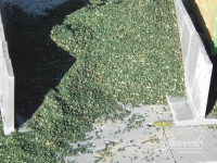 Juweela 23476 - I - Maissilage, grün (400 g)